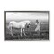Stupell Industries Her White Horse Floating Frame, design by Ata Alishahi